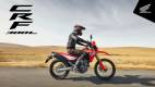 CRF300L